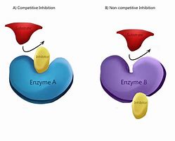 Image result for Inhibition of Cell Proliferation