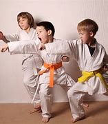 Image result for The Best Karate Fighting Kid and His Family