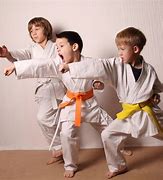 Image result for Kids Martal Arts Training Equipments