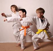 Image result for Karate Kid Practice
