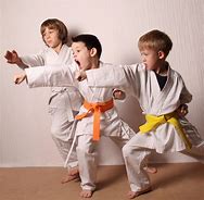 Image result for The Best Martial Arts for Kids