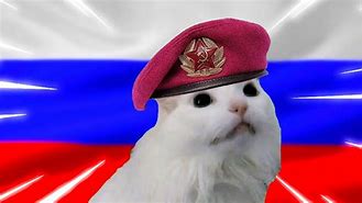 Image result for Rasputin Cat Meme