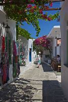 Image result for Streets of Sifnos