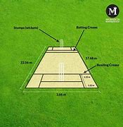 Image result for How Long Is a Cricket Pitch
