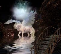 Image result for Beautiful Unicorn Pegasus