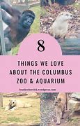 Image result for Zoo Place