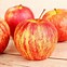 Image result for apples 8