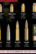 Image result for Call of Duty Zombies Max Ammo