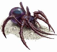 Image result for Arachnid Dnd