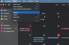 Image result for Apple Calendar Icon