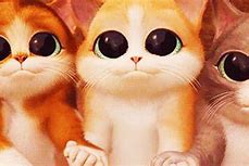Image result for Animated Cat Eyes