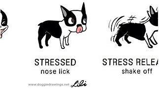 Image result for Stressed Dog Illustraion