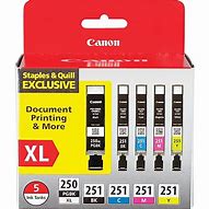 Image result for Canon Ink Cartridge CL 251