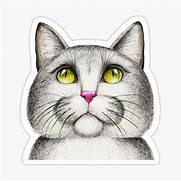 Image result for Cat Stickers for Discord