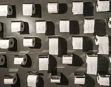 Image result for iPhone Toilet Paper