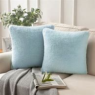 Image result for Pale Blue Throw Pillows