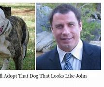 Image result for John Travolta Dog Meme