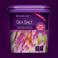 Image result for Sea Salt Aqua