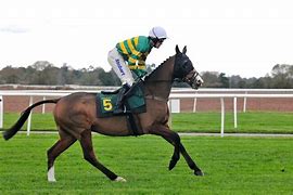 Image result for Jockey Horse Racing