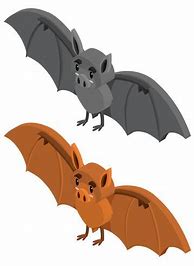 Image result for Bat Vector