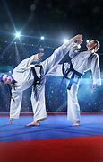 Image result for Karate Woman Fight