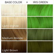 Image result for Iris Hair Color