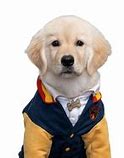 Image result for Pup Academy Wallpaper