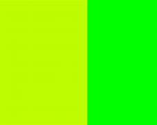 Image result for Neon Yellow-Green