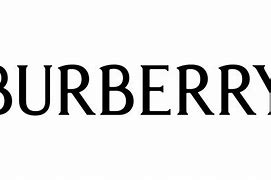 Image result for Burberry 新 Logo