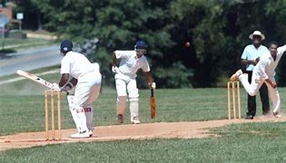 Image result for Indoor Cricket Pic