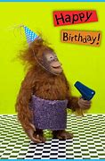 Image result for Funny Happy Birthday to My Brother