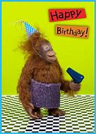 Image result for Funny Birthday Brother