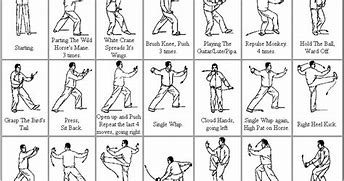 Image result for Tai Chi Sequence