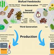 Image result for Fourth Generation Biofuels