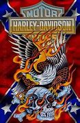 Image result for Lady Death Motorcycle Decals