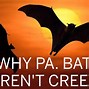 Image result for Bat Print Pennsylvania