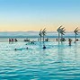 Image result for Cairns Beaches