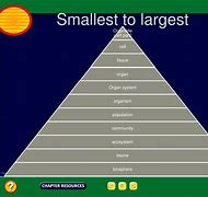 Image result for Smallest to Largest Units