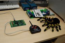 Image result for Remote Control Toys Bugs