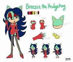 Image result for Breezie the Hedgehog X