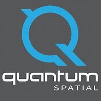 Image result for Quantum Spatial Logo