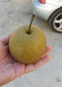 Image result for Pear-Apple Hybrid