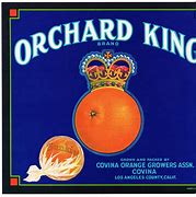 Image result for Stephen King Apples and Oranges