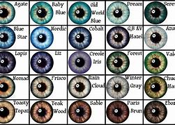 Image result for A40 Eye Color