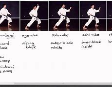 Image result for Basic Karate Blocks