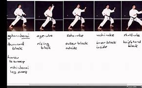 Image result for Types of Karate Blocking
