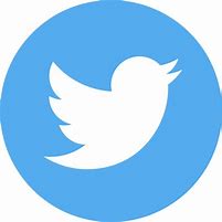 Image result for Twitter Transparent Circle