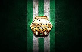 Image result for Sagamihara FC