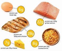 Image result for What Does 100G of Protein Look Like