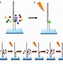 Image result for RNA Extraction to cDNA